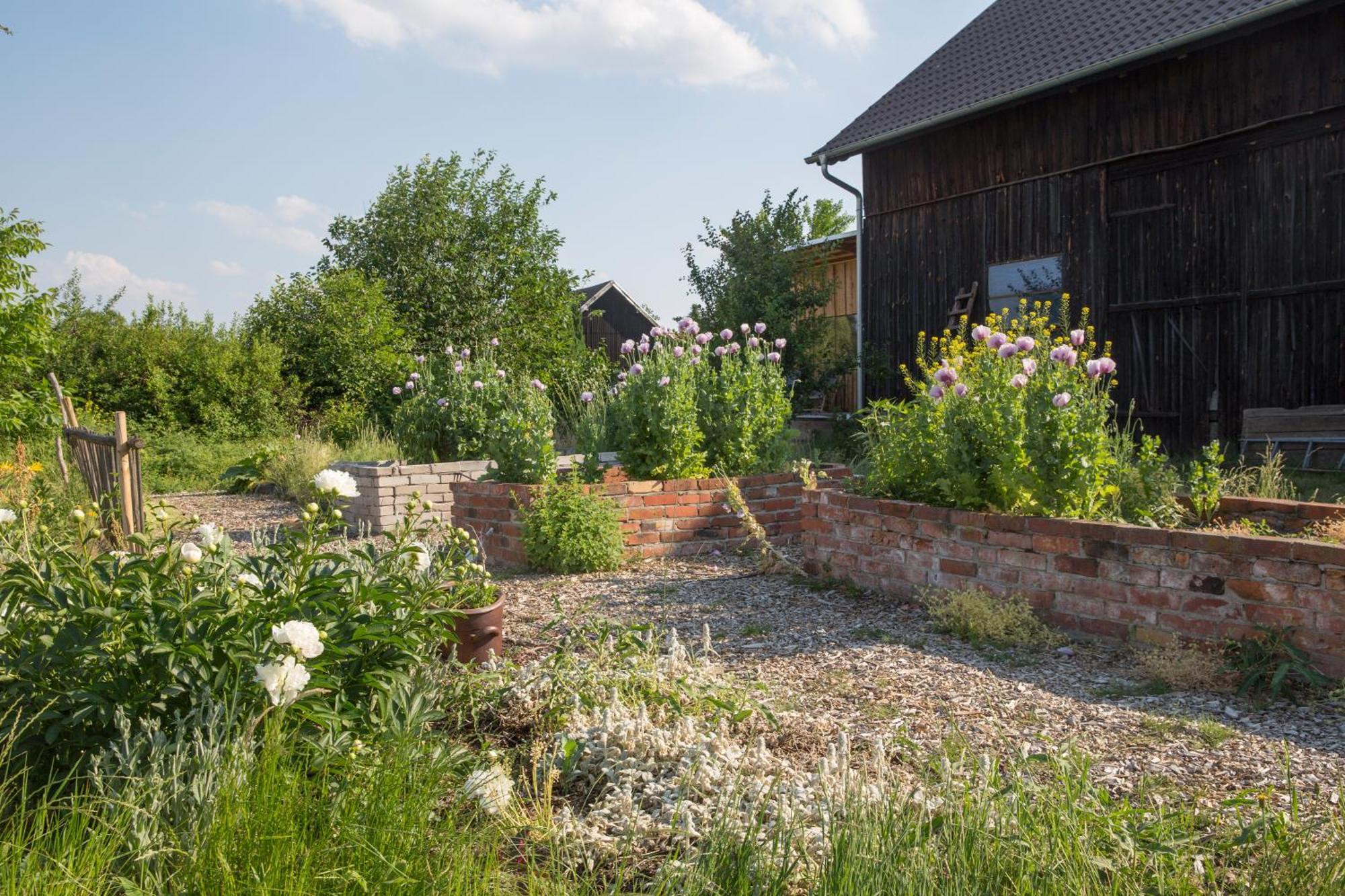 Alte Flachsfarm คอตต์บุส ภายนอก รูปภาพ